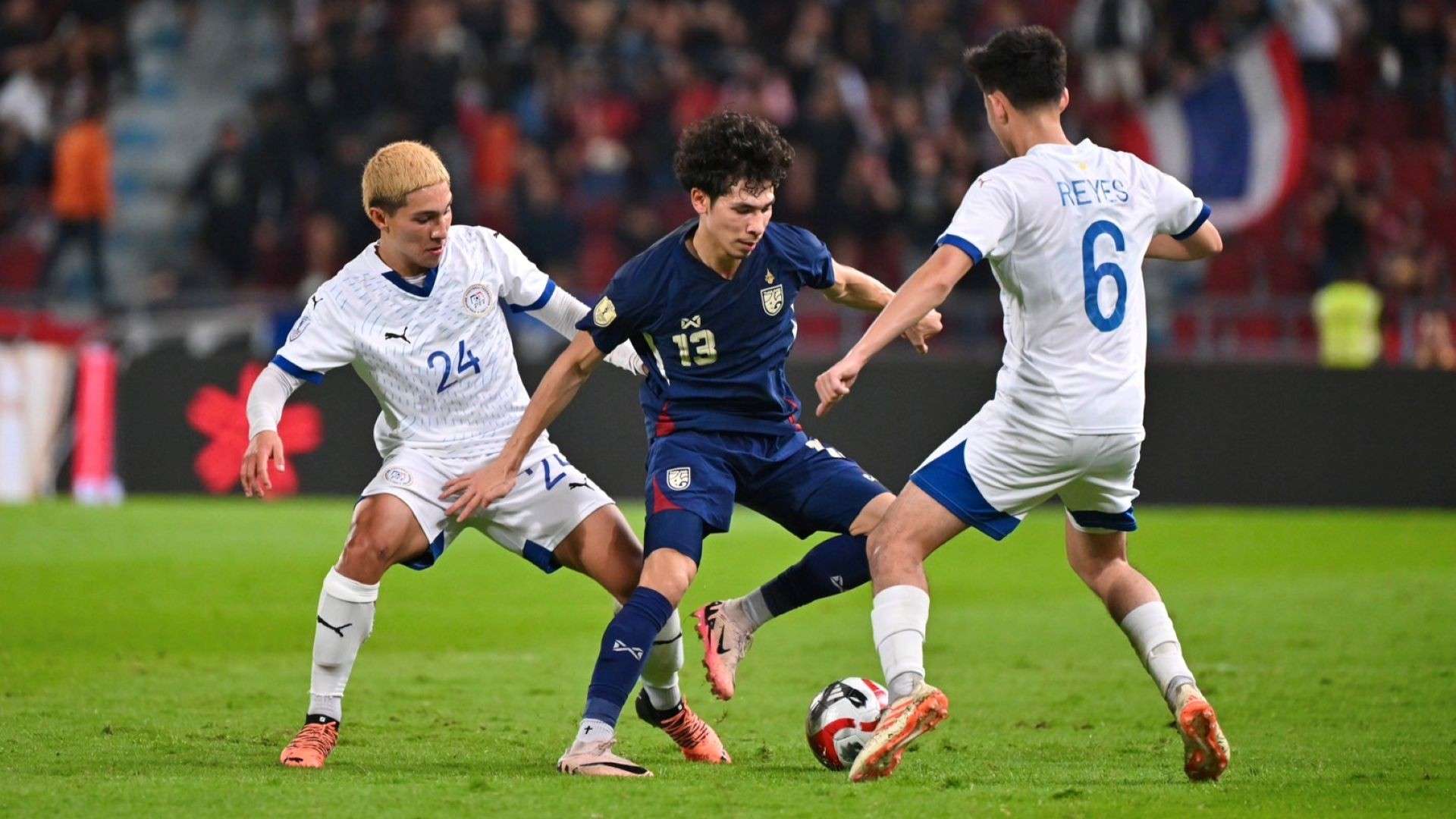 这两个领域 这两个领域