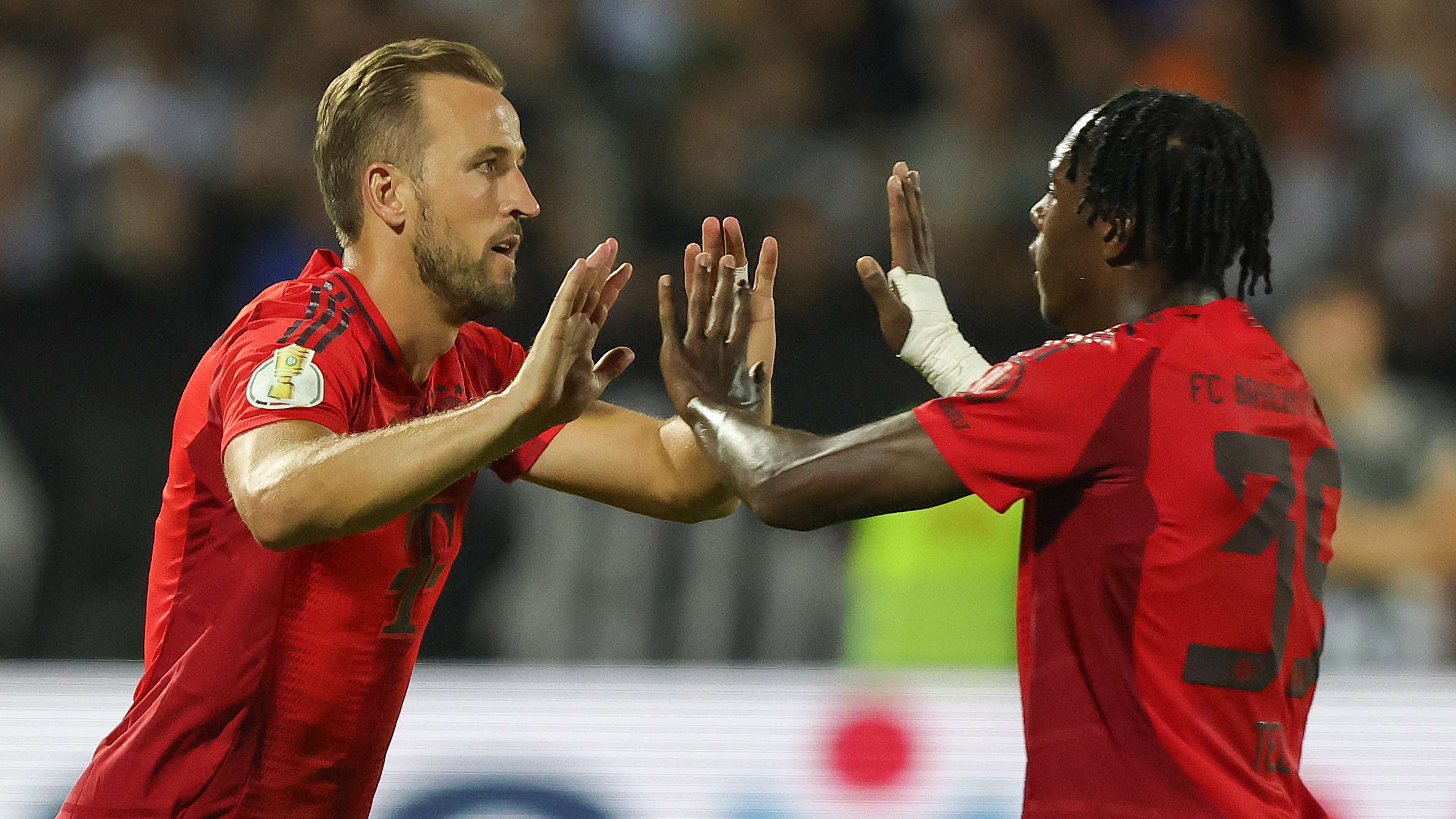 新生代与老 新生代与老