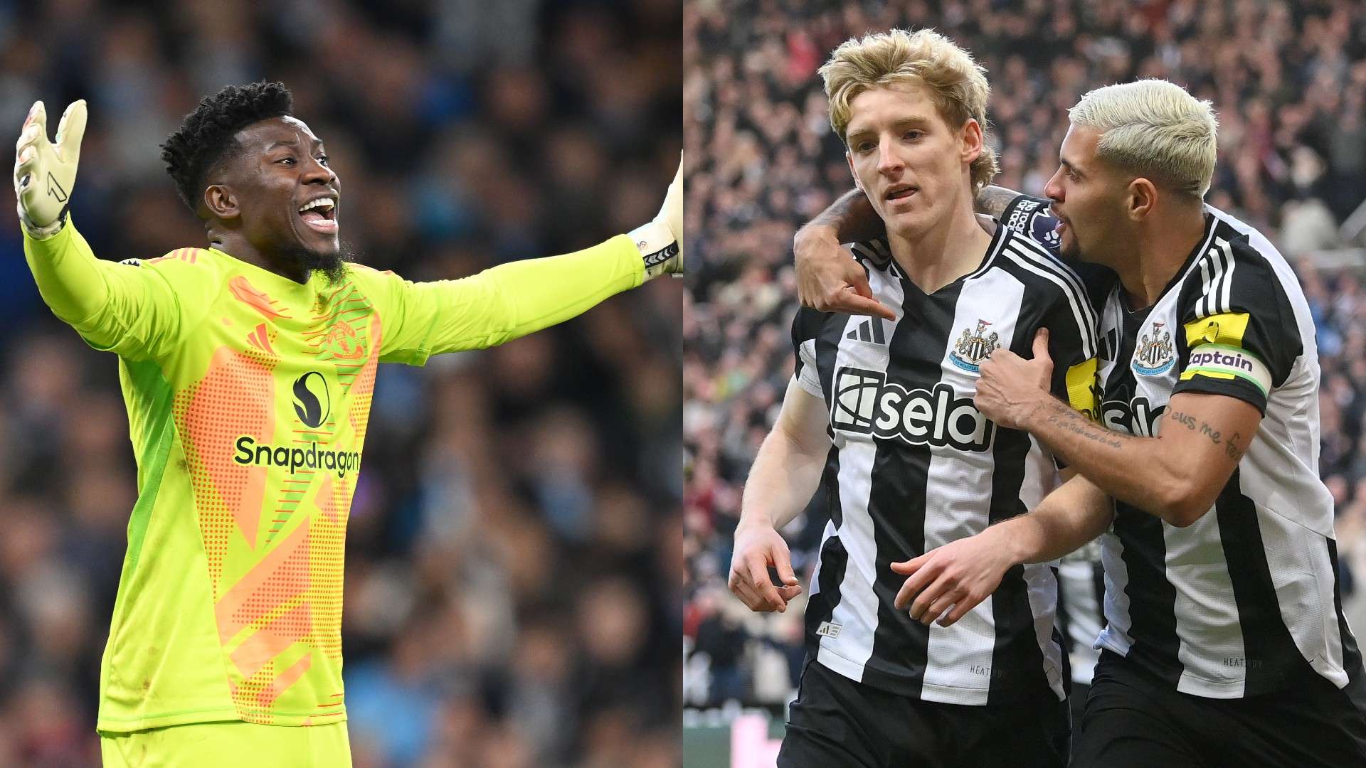 们的广泛关 们的广泛关