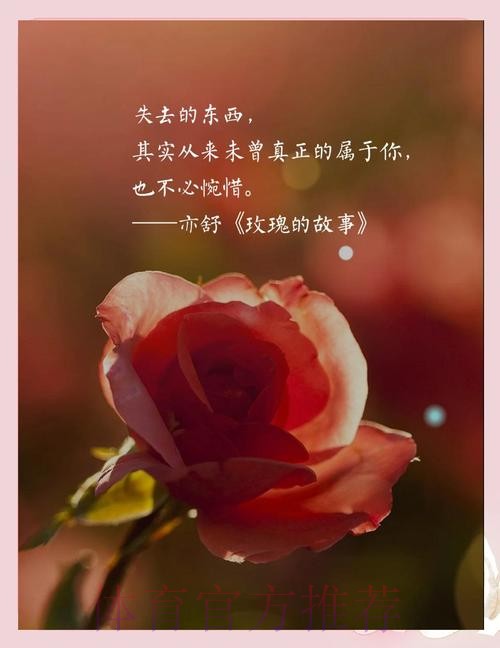 虽败犹荣 玫瑰重拾铿锵气质崛起指日可待! 虽败犹荣 玫瑰重拾铿锵气质崛起指日可待!